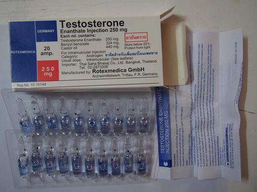Testosterone Enanthate stacking